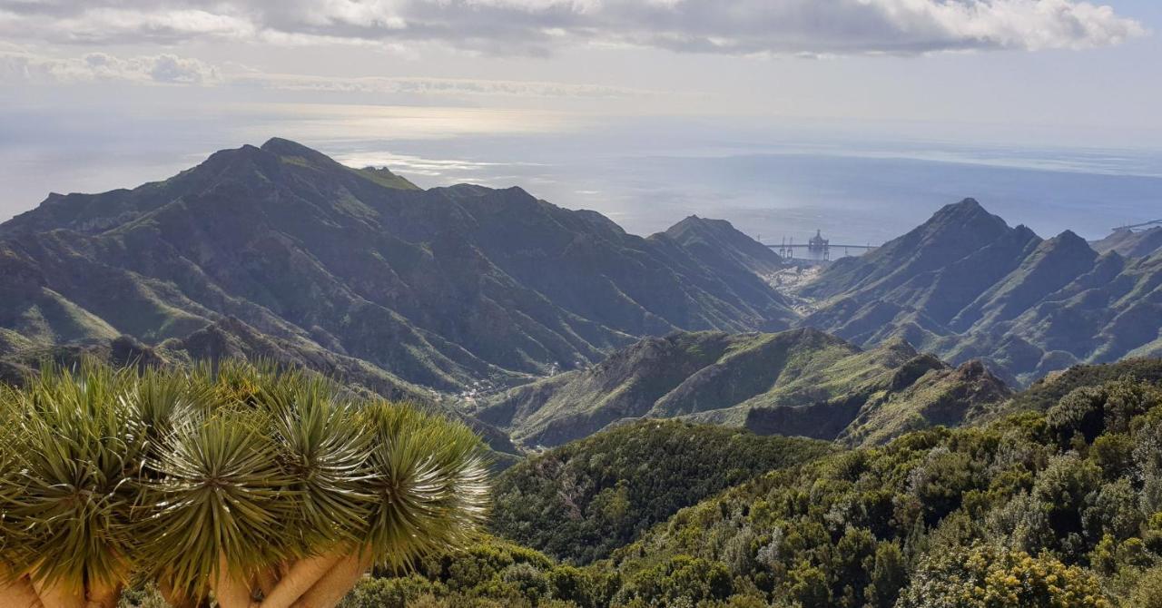 Santa Cruz De Tenerife Toscal Kültér fotó