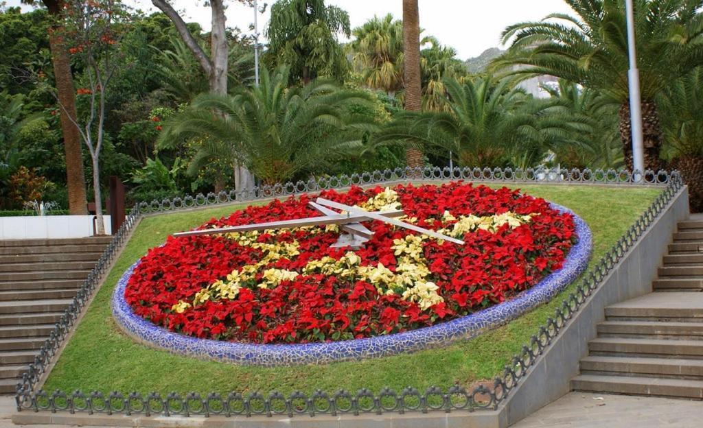 Santa Cruz De Tenerife Toscal Kültér fotó